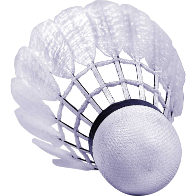 TUBE VOLANTS PLUMES BADMINTON VICTOR CARBONSONIC N°1